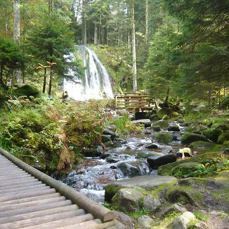 Chalet Les Moraines 8 Le Tholy