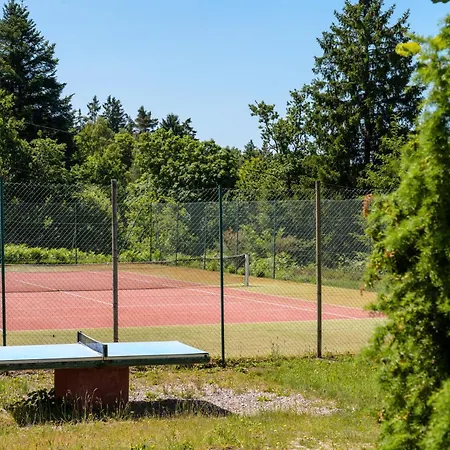 Chalet Les Moraines 8 Le Tholy