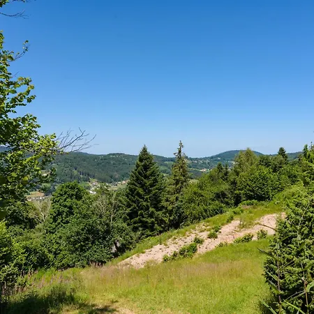 Les Moraines 8 Chalet Le Tholy