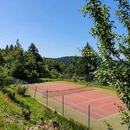 Chalet Les Moraines 8 Le Tholy