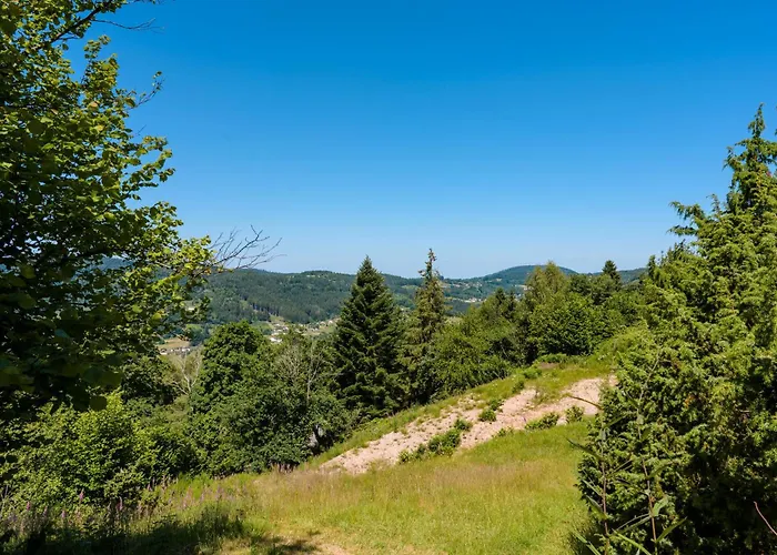 木屋 Les Moraines 8 *